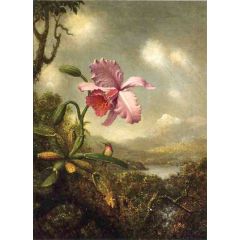 Hummingbird and Orchid: Sun Breaking Through the Clouds Painting Reproduction