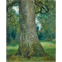 Study of the Trunk of an Elm Tree Painting Reproduction
