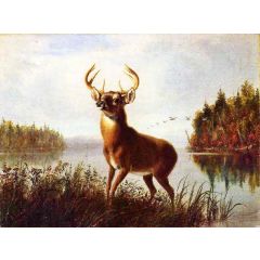 Eight Point Stag Painting Reproduction