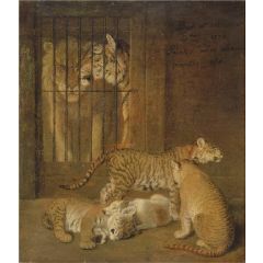 Group of Whelps Bred between a Lion and a Tigress Painting Reproduction