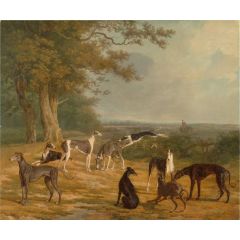 Nine Greyhounds in a Landscape Painting Reproduction