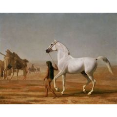 The Wellesley Grey Arabian Led through the Desert Painting Reproduction