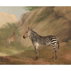 Zebra Painting Reproduction