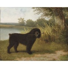 A black water dog with a stick by a lake Painting Reproduction