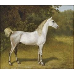 An Arab stallion in a landscape Painting Reproduction