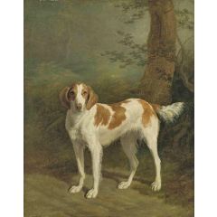 Dash, a setter in a wooded landscape Painting Reproduction