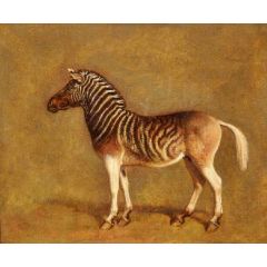 Quagga Painting Reproduction