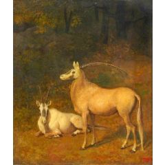 Two White Antelopes Painting Reproduction