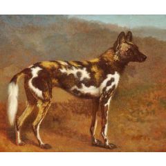 Cape Hunting Dog Painting Reproduction