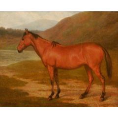 Foal of Mare and Quagga Painting Reproduction