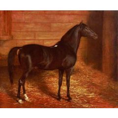 Arab Horse, the Second Sire Painting Reproduction
