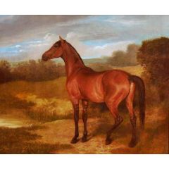 Colt of Mare and Arab Horse Painting Reproduction