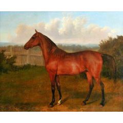 Colt of Mare and Arab Horse Painting Reproduction