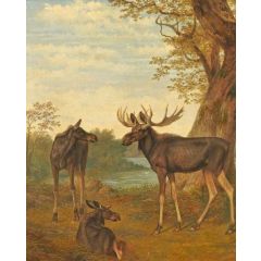 Moose Painting Reproduction