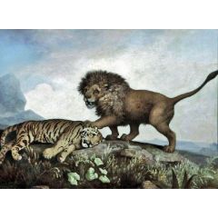 A Lion and a Tiger Painting Reproduction