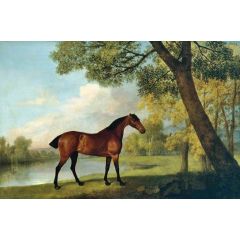 Bay Hunter by a Lake Painting Reproduction
