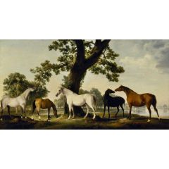 Five Brood Mares at the Duke of Cumberland’s Stud Farm in Windsor Great Park Painting Reproduction