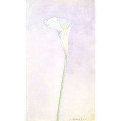 Arum Lily Painting Reproduction