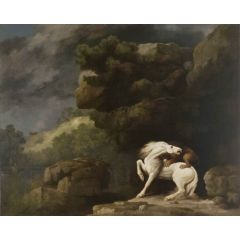 A Lion attacking a Horse Painting Reproduction