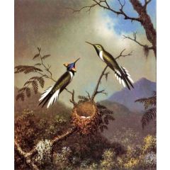 Hummingbirds at Their Nest, Sun Gems Painting Reproduction