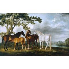 Mares and Foals in a River Landscape Painting Reproduction
