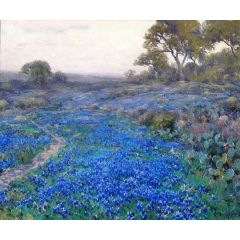 Bluebonnets at Twilight North of San Antonio Painting Reproduction