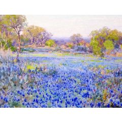 A Field of Blue Bonnets, Late Afternoon Sunlight Painting Reproduction