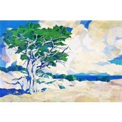 Monterey Cypress Painting Reproduction
