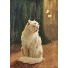 White Cat and Two Brimstone Butterflies Painting Reproduction