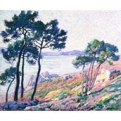 Pins au bord de la mer Painting Reproduction