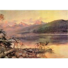 Deer at Lake McDonald Painting Reproduction