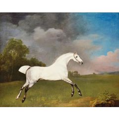 A Grey Horse Painting Reproduction