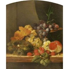 Still Life with Fruit and a Bird’s Nest Painting Reproduction