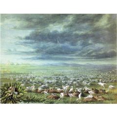 Ambush for flamingos in South America Painting Reproduction