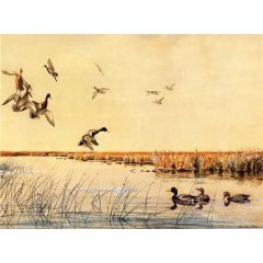 Coming In Painting Reproduction