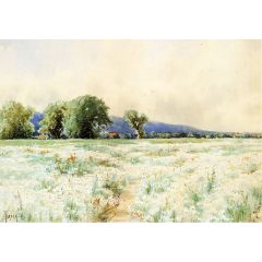 The Daisy Field Painting Reproduction