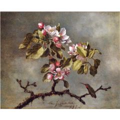 Apple Blossoms and Hummingbird Painting Reproduction