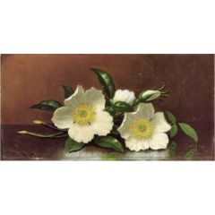 Two Cherokee Rose Blossoms on a Table, also known as Cherokee Roses Painting Reproduction