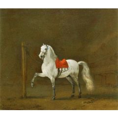 A Grey Horse in a Stable Painting Reproduction