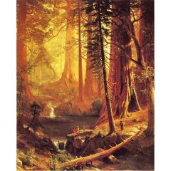 Giant Redwood Trees of California Painting Reproduction