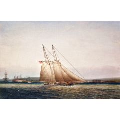 Yachting in New York Harbor Painting Reproduction
