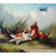 Three Spaniels and a Flying Mallard Painting Reproduction