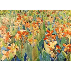 Bed of Flowers, also Known as Cannas for the Garden Painting Reproduction