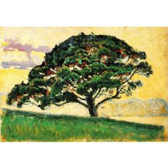 Pine St. Tropez Painting Reproduction