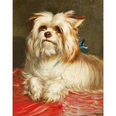 A Yorkshire Terrier Painting Reproduction