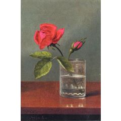 Red Rose and Bud in a Tumbler on a Shiny Table Painting Reproduction