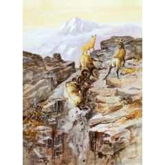 Big Horn Sheep Painting Reproduction