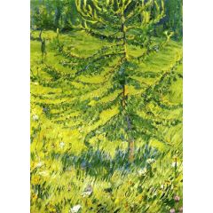 Larch Sapling, also known as Larch Sapling in a Forest Glade Painting Reproduction