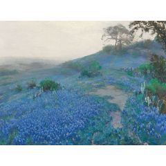 Blue Bonnet Field, Early Morning, San Antonio Texas Painting Reproduction