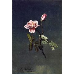 Pink Rose Painting Reproduction